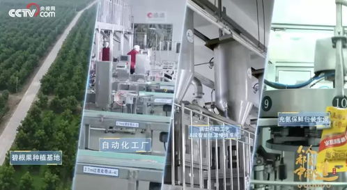 從被低估的沃土到世界之巔 一座中國城市的堅果巨頭與教育軟件技術開發傳奇