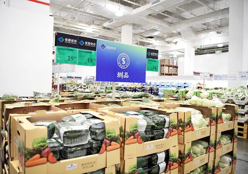 圳品引領深圳食品業做大做強，教育軟件技術開發如何賦能新賽道